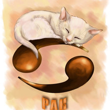 Cross stitch pattern: #554842