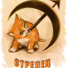 Cross stitch pattern: #554854