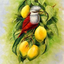 Cross stitch pattern: #554880