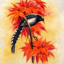 Cross stitch pattern: #554884