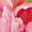 Preview of cross stitch pattern: #554889