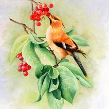 Cross stitch pattern: #554895