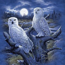 Cross stitch pattern: #554903