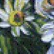 Preview of cross stitch pattern: #554913