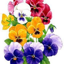 Source of cross stitch pattern: #554916