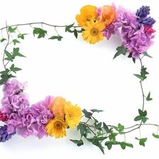 Cross stitch pattern: #554926