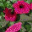 Preview of cross stitch pattern: #554927