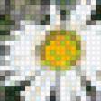 Preview of cross stitch pattern: #554934
