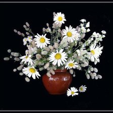 Source of cross stitch pattern: #554934