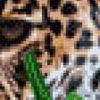 Preview of cross stitch pattern: #554950