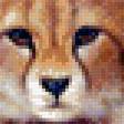 Preview of cross stitch pattern: #554958