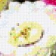 Preview of cross stitch pattern: #554990