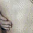 Preview of cross stitch pattern: #555026