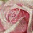 Preview of cross stitch pattern: #555060