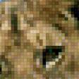 Preview of cross stitch pattern: #555207