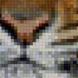 Preview of cross stitch pattern: #555218