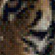 Preview of cross stitch pattern: #555219