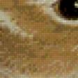 Preview of cross stitch pattern: #555253
