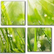 Cross stitch pattern: #555255