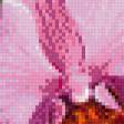 Preview of cross stitch pattern: #555266