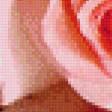 Preview of cross stitch pattern: #555274