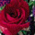 Preview of cross stitch pattern: #555276