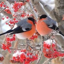 Source of cross stitch pattern: #555280