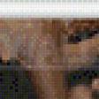 Preview of cross stitch pattern: #555282