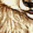 Preview of cross stitch pattern: #555316