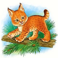 Cross stitch pattern: #555317