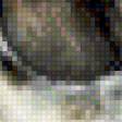 Preview of cross stitch pattern: #555321