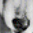 Preview of cross stitch pattern: #555337