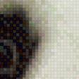Preview of cross stitch pattern: #555445