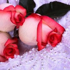 Cross stitch pattern: #555464