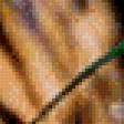 Preview of cross stitch pattern: #555547