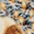 Preview of cross stitch pattern: #555578