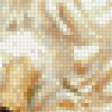 Preview of cross stitch pattern: #555604