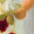 Preview of cross stitch pattern: #555692