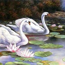 Cross stitch pattern: #555719