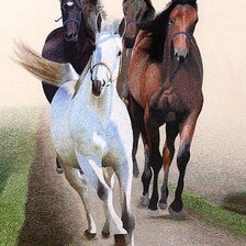 Cross stitch pattern: #555749