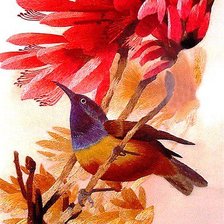 Cross stitch pattern: #555761