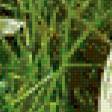 Preview of cross stitch pattern: #555783