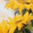Preview of cross stitch pattern: #555835