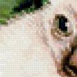 Preview of cross stitch pattern: #555859