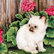 Cross stitch pattern: #555859