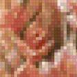 Preview of cross stitch pattern: #555881