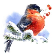 Cross stitch pattern: #555898