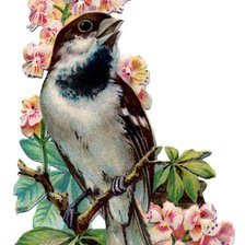 Cross stitch pattern: #555900