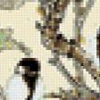 Preview of cross stitch pattern: #555910