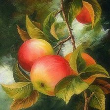 Cross stitch pattern: #555912